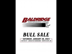 Baldridge Performance Angus 2023 Annual Bull Sale, North Platte, Nebraska