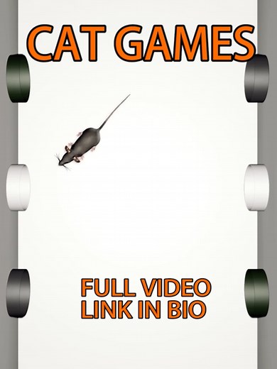 Jogos interativos divertidos para gatos