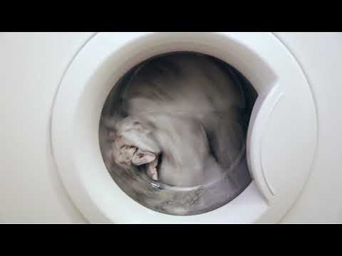 Washing machine Whirlpool Indiana 1400 spins at 1400 rpm