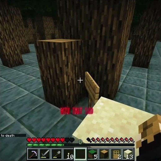 The Crossroads... #unstableuniverse #minecraft #pvp #wifies
