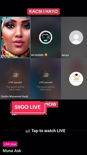 SIIGO LIVE: Uncover Exciting Moments and Interactions
