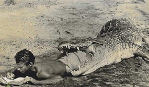 Apocalyptic Log - TV Tropes