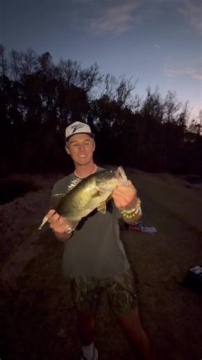 Operation Find the Fish: Bass Fishing Adventures
