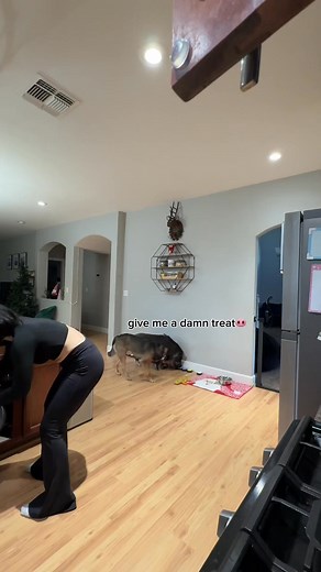 347K views · 18K reactions | The dynamic at this house is like no other  | Merlin The Pig | Facebook