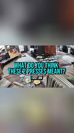 Twiggy and her Cat Cat Frens on TikTok