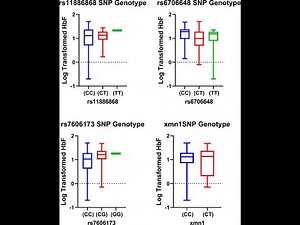 Mann-Whitney-Wilcoxon test In R