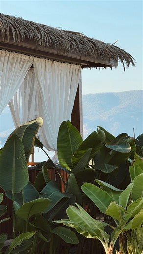 JAVA Mode des îles on Instagram: "À travers le monde avec JAVA… Parce que chaque moment est fait pour te sentir sûre de toi et éclatante. Around the world in JAVA, Because you deserve to feel bold, attractive and beautiful everywhere you go. Maintenant en boutique: 📍 Jarry : 35 rue Ferdinand Forest 📍 Épointe-à-Pitres : 26 bis, Rue Schoelcher 6 Rue St. John Perse 35 Rue Achille René Boisneuf #javamodedesiles"