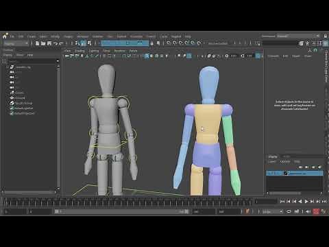 Ragdoll in a Nutshell pt. 1