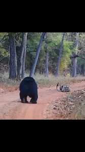 71K views · 588 reactions | Animal Planet TV on Reels | Facebook