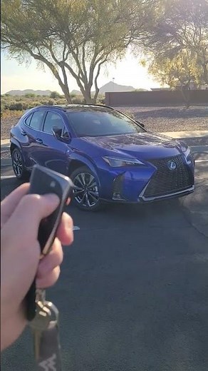 Use Your Key Fob To Roll Down Windows : 2023 Lexus UX250H : Tricks You Didn't Know