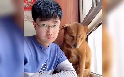 全网饱受精神折磨的狗子，主人给它唱忐忑神曲，狗子直接想咬人