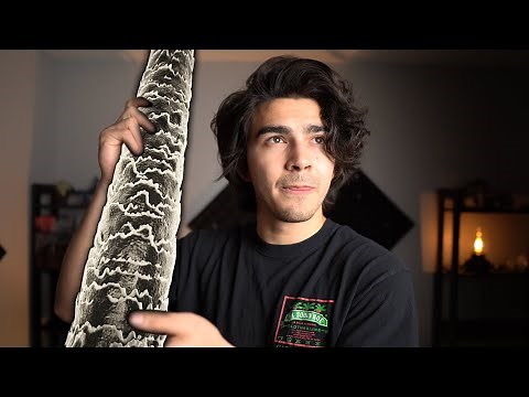 let me show you your HAIR TYPE