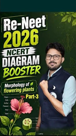 Re-NEET 2026 🌿 NCERT Diagram Booster | Morphology of Flowering Plants | Biology Tricks