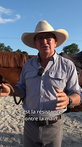 6.6K views · 315 reactions | APPRENDRE AU CHEVAL LA FLEXION VERTICALE AU SOL Profitez d'autres vidéos en rejoignant le Horseman's Club!  https://www.andybooth.fr/horsemans-club-by-andy-booth La réalisation de ces exercices demande une formation du cavalier et de son cheval. Avant de vous lancer à la réalisation de n’importe quel exercice, assurez-vous d’avoir les bases nécessaires. | Andy Booth | Facebook