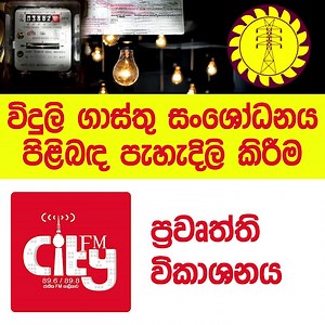 6.6K views · 26 reactions | Ceylon Electricity Board - CEB on Reels | Facebook