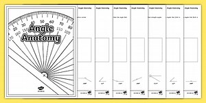 Fourth Grade Angle Anatomy Review Booklet