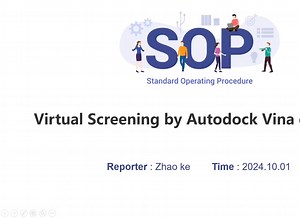 ZK_SOP009_虚拟筛选之Vina or PyRx