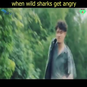 1.7M views · 14K reactions | Top Movies You Can't Miss | Johan Rodriguez C | Facebook