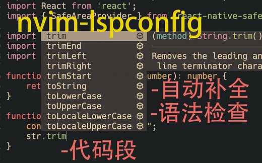 06_[nvim0.5+从0单排]_内置LSP 自动补全、语法检查、code action、代码段—TypeScript篇