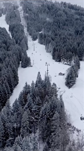 Monsieur Mouche Bar Ephémère on Instagram: "🌟 @monsieurmouchebar à @la.berra – LE RENDEZ-VOUS FESTIF DE L’HIVER ! 🌟 Prépare-toi à vivre plusieurs jours où la montagne rime avec musique, partage et bonne humeur. Ski la journée, fête au chaud en fin d’après-midi… l’hiver n’a jamais été aussi vibrant ❄️🎿🎶 📅 Quand ? Du 10 au 25 janvier 🕙 10h00 – 17h30 | samedi & dimanche 📍 Où ? Sur le domaine skiable de La Berra, au cœur des Préalpes fribourgeoises 🎉 Quoi ? Un après-ski festif et accessibl