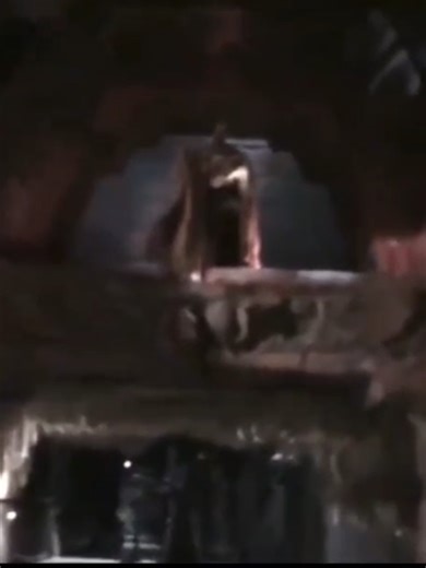 Revenge of the Mummy: The Ride — Light on POV at Universal Studios Hollywood. #universalstudioshollywood #universalstudios #nostalgia #themummy #fyp