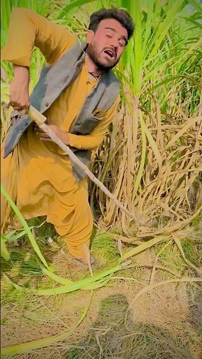 #ganne ka ras kaman 😝🤪 dost ko gift 🤪 lovely video 😱😱