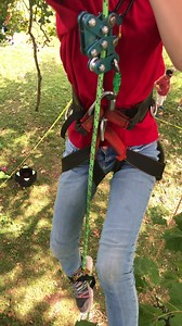 172 reactions · 10 comments | Marie on the rope runner like a pro! #treeclimbing #touchtrees #roperunner #getoutside | Duane Hook | Facebook