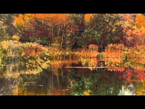 ~★~ SECRET GARDEN - Passacaglia ~★~