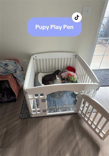 Durable Plastic Puppy Playpen for Safe Pet Play