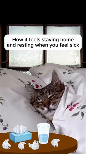 Stay Home When You Feel Sick