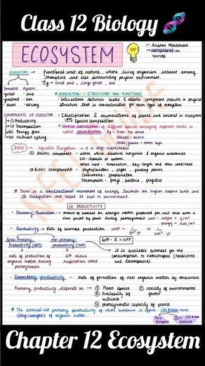 Class12 Ecosystem notes one shot / Revision /Biology Ncert chapter 12 neet boards #neet #boardexam
