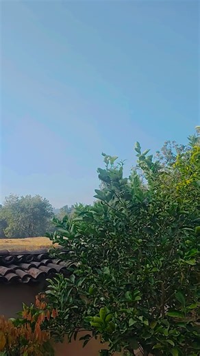 nagpuri chain dance short video nagpuri dance short video 2025 trending nagpuri short video #nagpuri