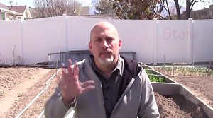 Cutting Seed Potatoes before Planting - Our Stoney Acres