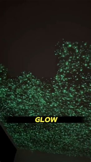 This Wall Glows for HOURS — No Electricity Needed 🌌 #GlowPaint #GlowInTheDark #AestheticRoom #usa