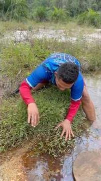 rare discovery of wild aquatic plants containing gold #goldrush