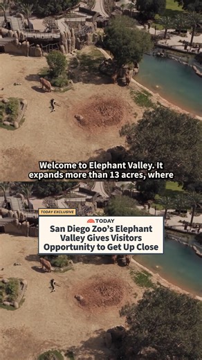 The San Diego Zoo Wildlife Alliance is opening a brand new elephant valley where visitors have the opportunity to get up close with the world’s largest land mammal! 🐘 NBC’s Steve Patterson shares a first look. | Today Show