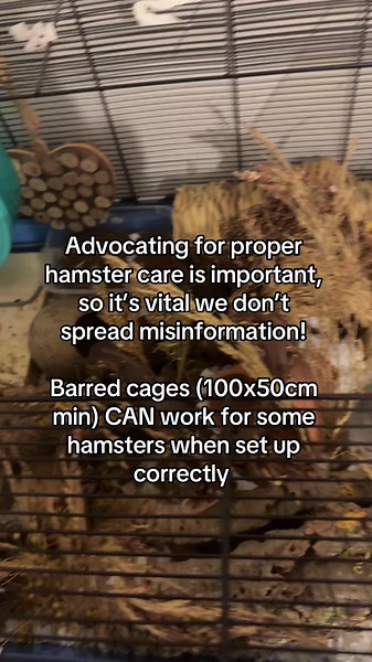 Understanding Barred vs Barless Hamster Cages Debate