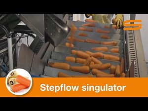 Stepflow for singulate carrots - Sormac