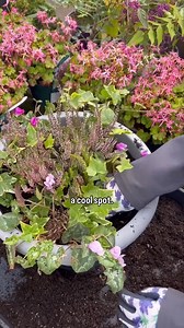 3.5K views · 17 reactions |  World Mental Health Day  This...