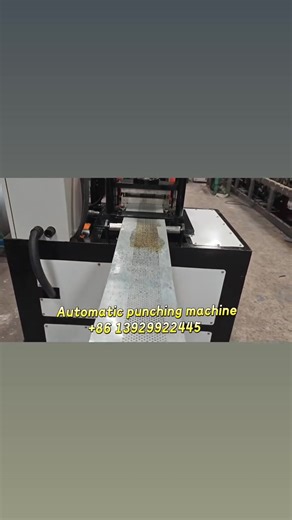 Roller shutter door steel coil punching machine | Zeng YH