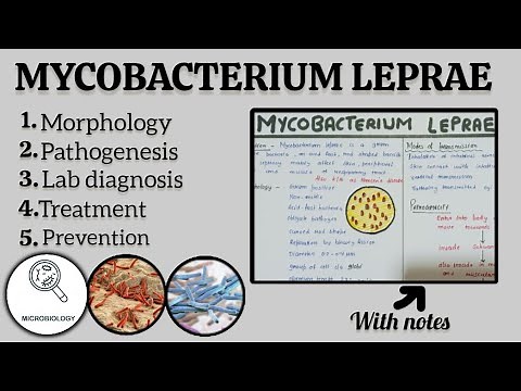 MYCOBACTERIUM LEPRAE || MORPHOLOGY || PATHOGENESIS || CLINICAL SYMPTOMS || TREATMENT