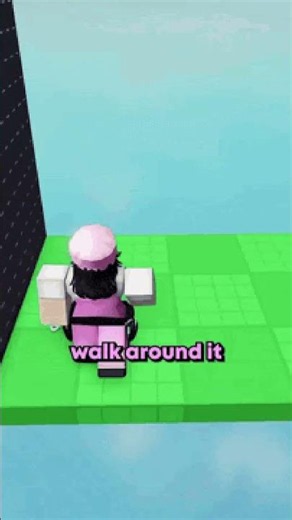 Walk around it meme