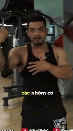 Tại Sao Nên Tập Bụng TRƯỚC Khi Tập Lưng #shortvideo #htfitness