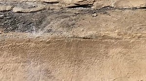 Experience the magic of Sego Canyon's petroglyphs, a testament to the creativity and ingenuity of ancient civilizations. Join us as we delve into the past! Learn more about the petroglyphs of Utah Sego Canyon through this link: https://bit.ly/476B80u . . . #explore #travel #exploretheworld #SegoCanyon #segocanyonpetroglyphs #Utah #everyone #explorepage #trendingvideo #viralvideo #trend #exploremore #exploretravel | ExploreTraveler