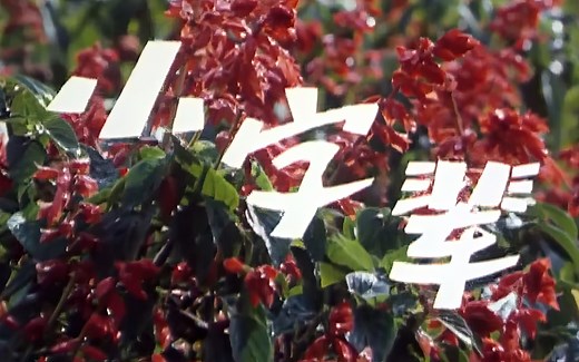 40年前的老电影，本片荣获文化部1979年优秀影片奖，怀念那个时代