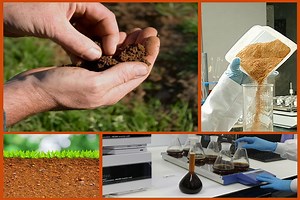 Análisis de suelo: conoce qué es y cómo se hace