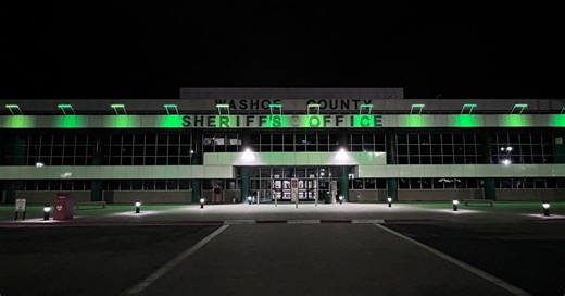 Washoe County Sheriff’s Office goes green to stand in solidarity with those who served
