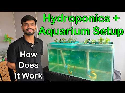 Hydroponics + Aquarium Setup: Natural Water Filter Using Airlift Pump😮| ICAR-CIFE Mumbai😍