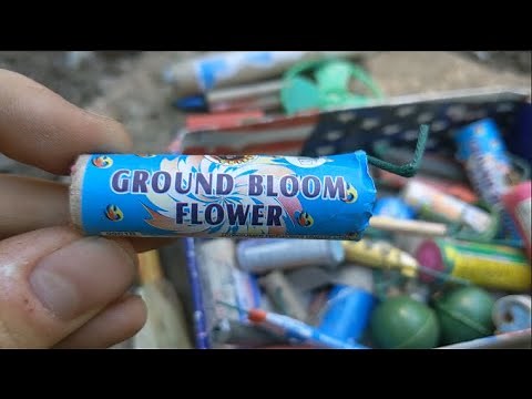 Do OLD Fireworks Still Work?