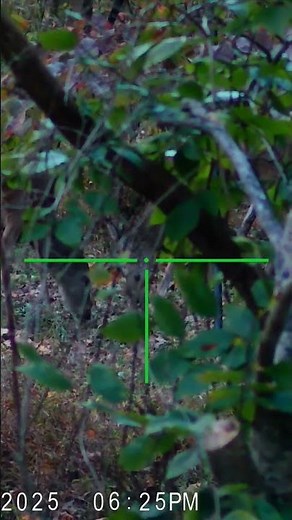 sightmark wraith 4k mini night vision optic. #whitetail #whitetaildeerhunting #whitetailhunting